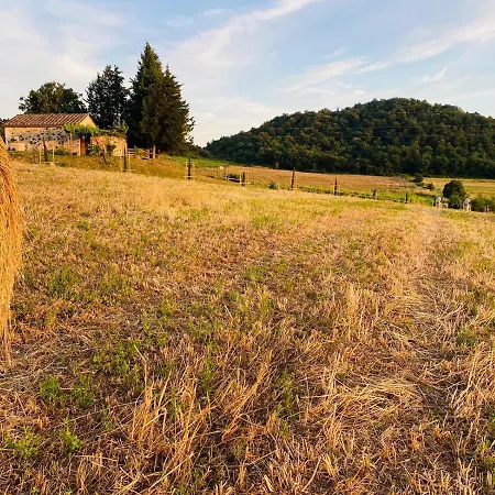 Podere La Selva Rapolano Terme Exterior photo