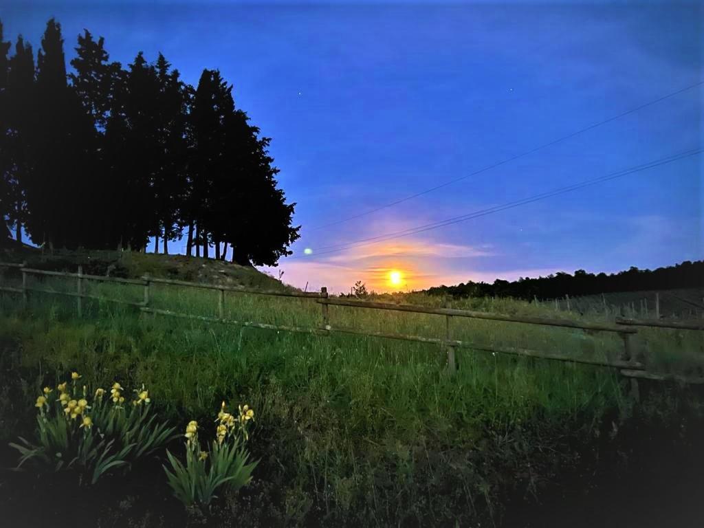Podere La Selva Holiday home