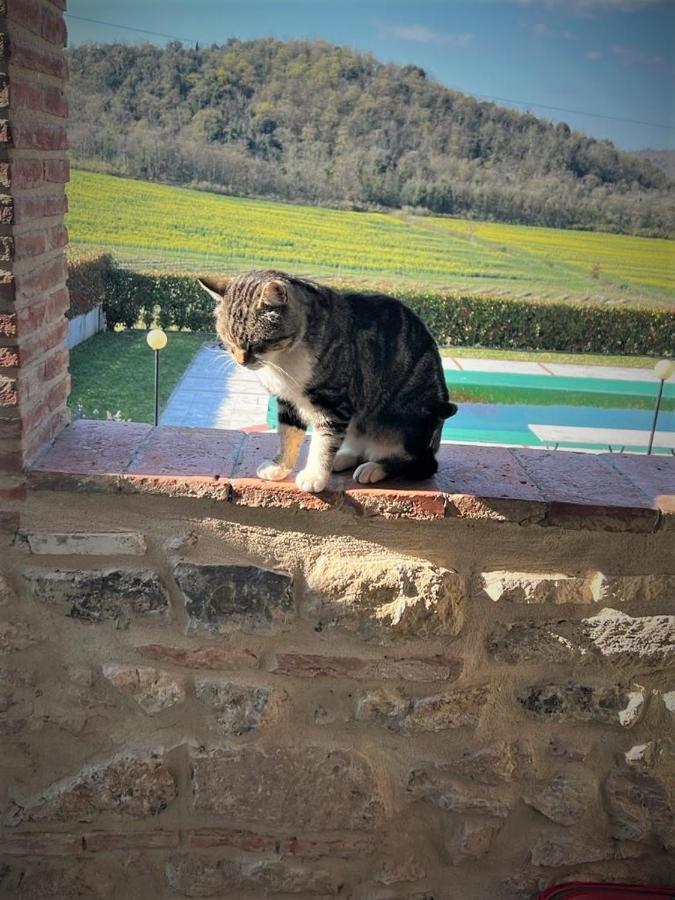 Podere La Selva Holiday home *