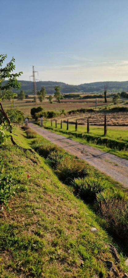 Holiday home Podere La Selva *
