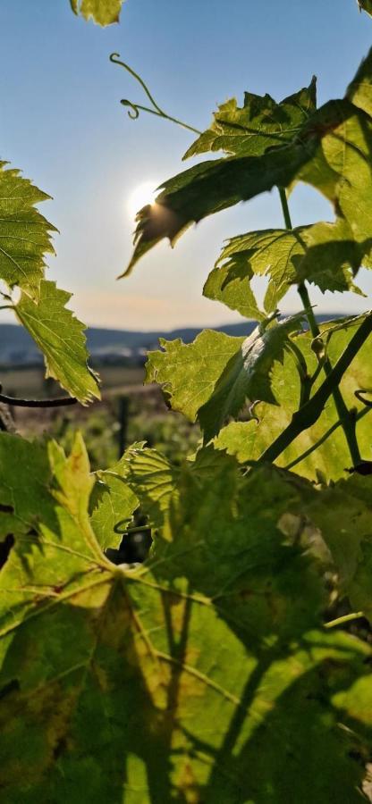 Podere La Selva Rapolano Terme